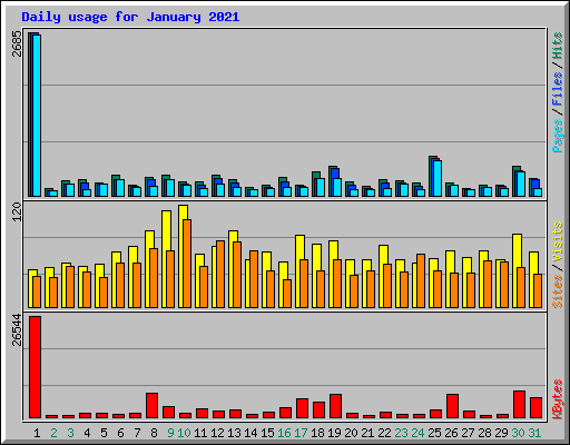 Daily usage for January 2021