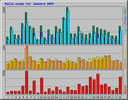 Daily usage for January 2022