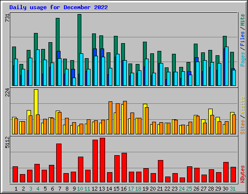 Daily usage for December 2022