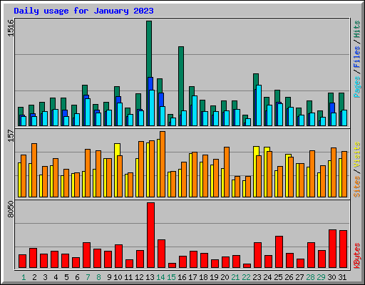 Daily usage for January 2023