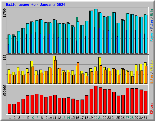 Daily usage for January 2024