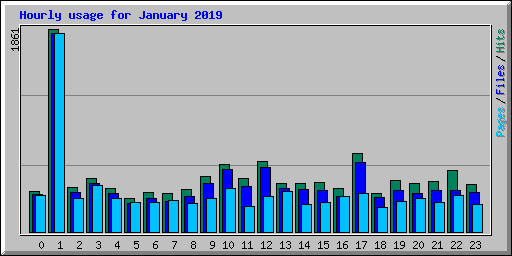 Hourly usage for January 2019