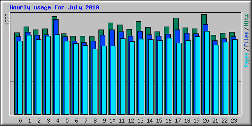 Hourly usage for July 2019