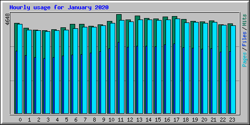 Hourly usage for January 2020