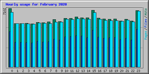 Hourly usage for February 2020