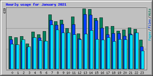 Hourly usage for January 2021