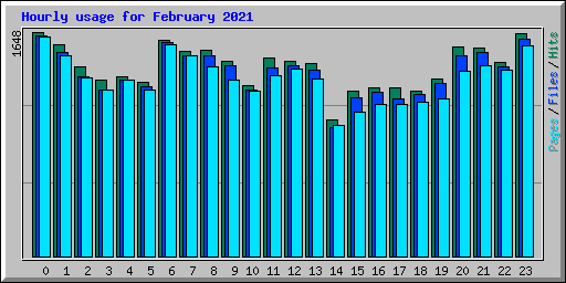 Hourly usage for February 2021
