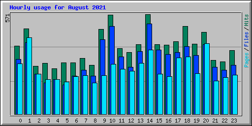 Hourly usage for August 2021