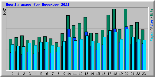 Hourly usage for November 2021