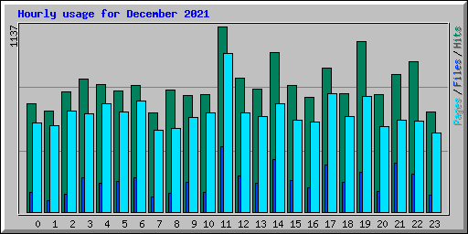 Hourly usage for December 2021