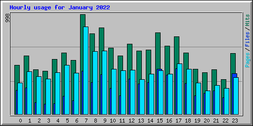 Hourly usage for January 2022