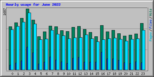 Hourly usage for June 2022