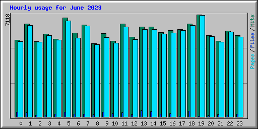 Hourly usage for June 2023