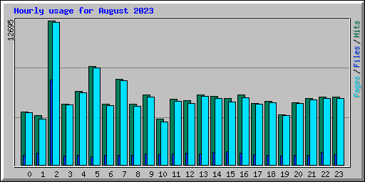 Hourly usage for August 2023