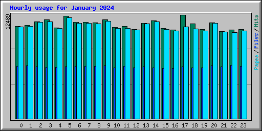 Hourly usage for January 2024