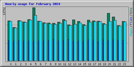 Hourly usage for February 2024