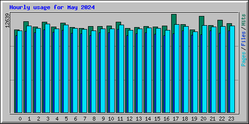 Hourly usage for May 2024