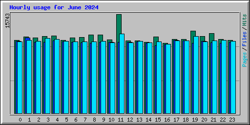 Hourly usage for June 2024