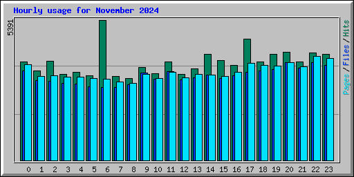 Hourly usage for November 2024