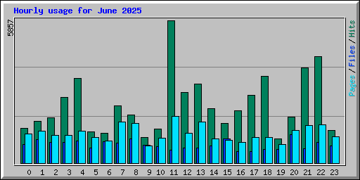 Hourly usage for June 2025