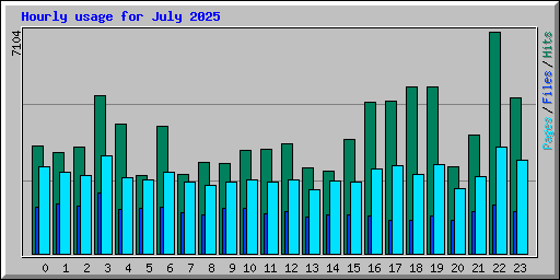 Hourly usage for July 2025